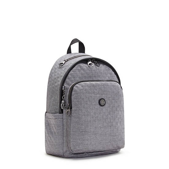 Sacs À Dos Kipling Delia Classiche Argent | FR 1660WN